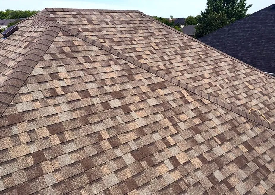 Slide of Delaney Park Roofing