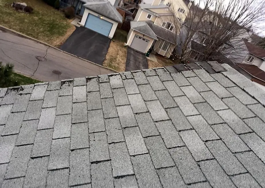 Slide of Delaney Park Roofing