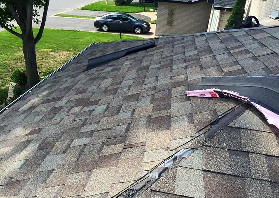 Slide of Delaney Park Roofing