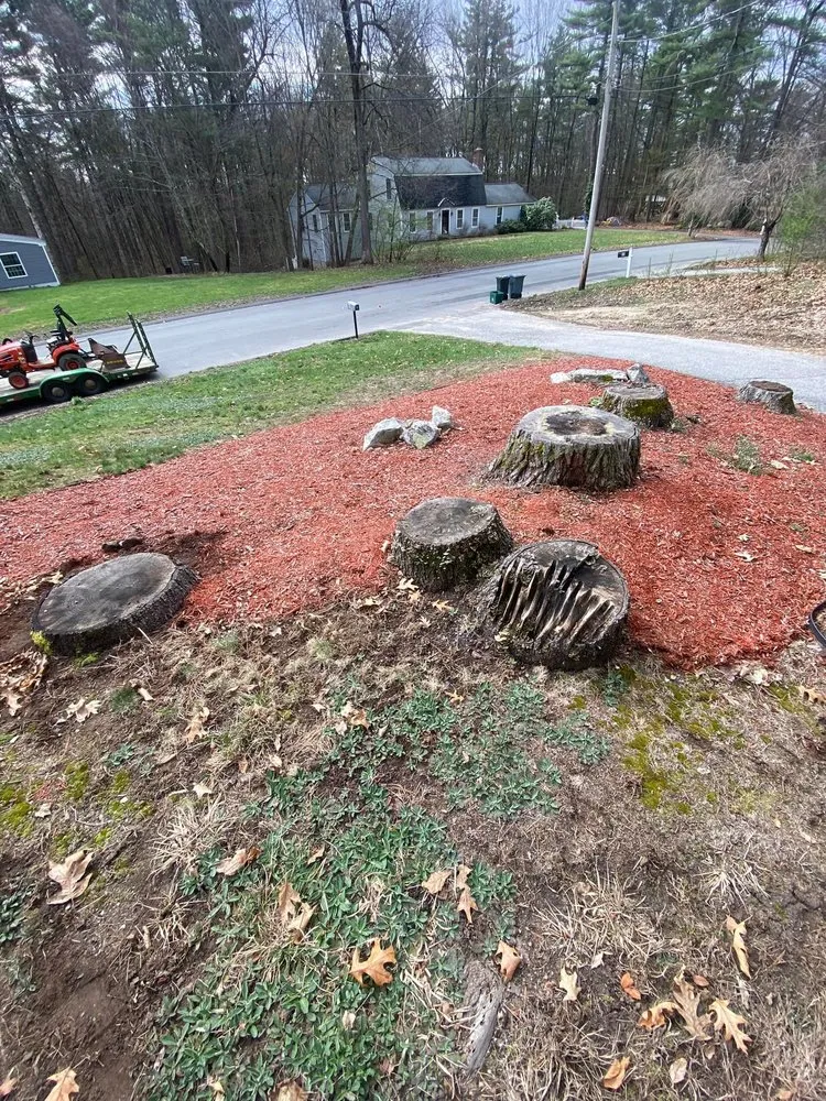 Slide of Delano Property Services