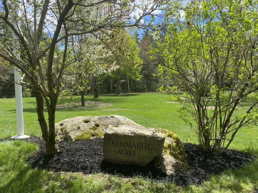 Slide of Delano Property Services