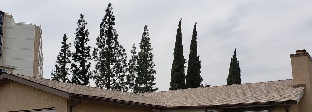 Slide of Delcid Roofing