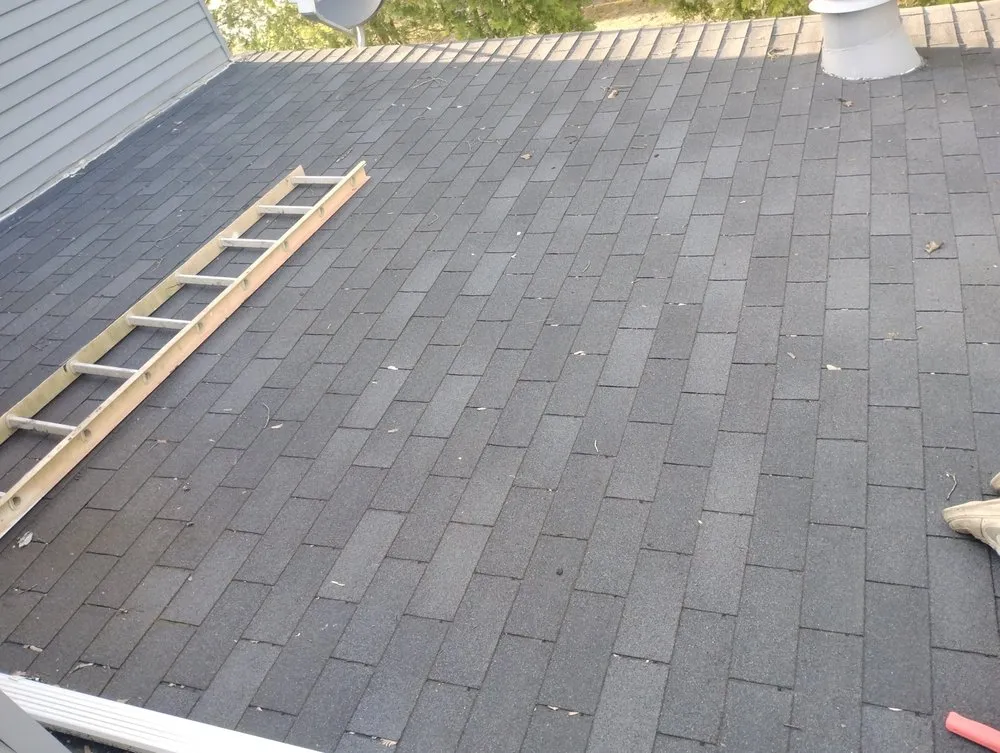 Slide of Delfine Bredniak construction