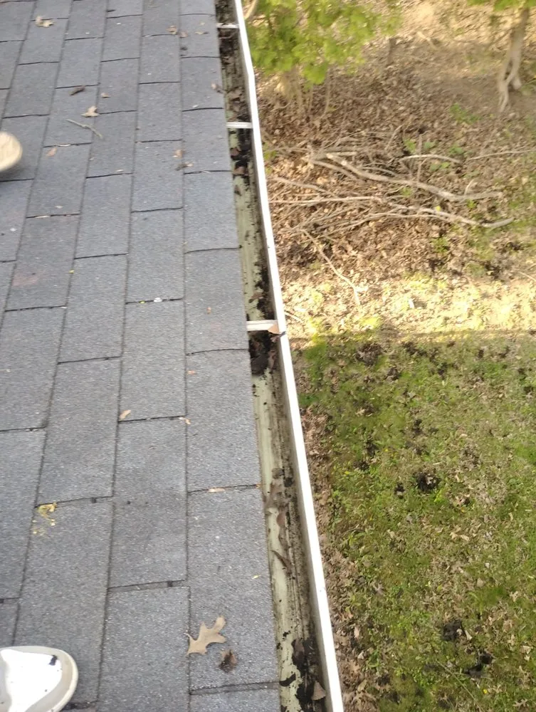 Slide of Delfine Bredniak construction