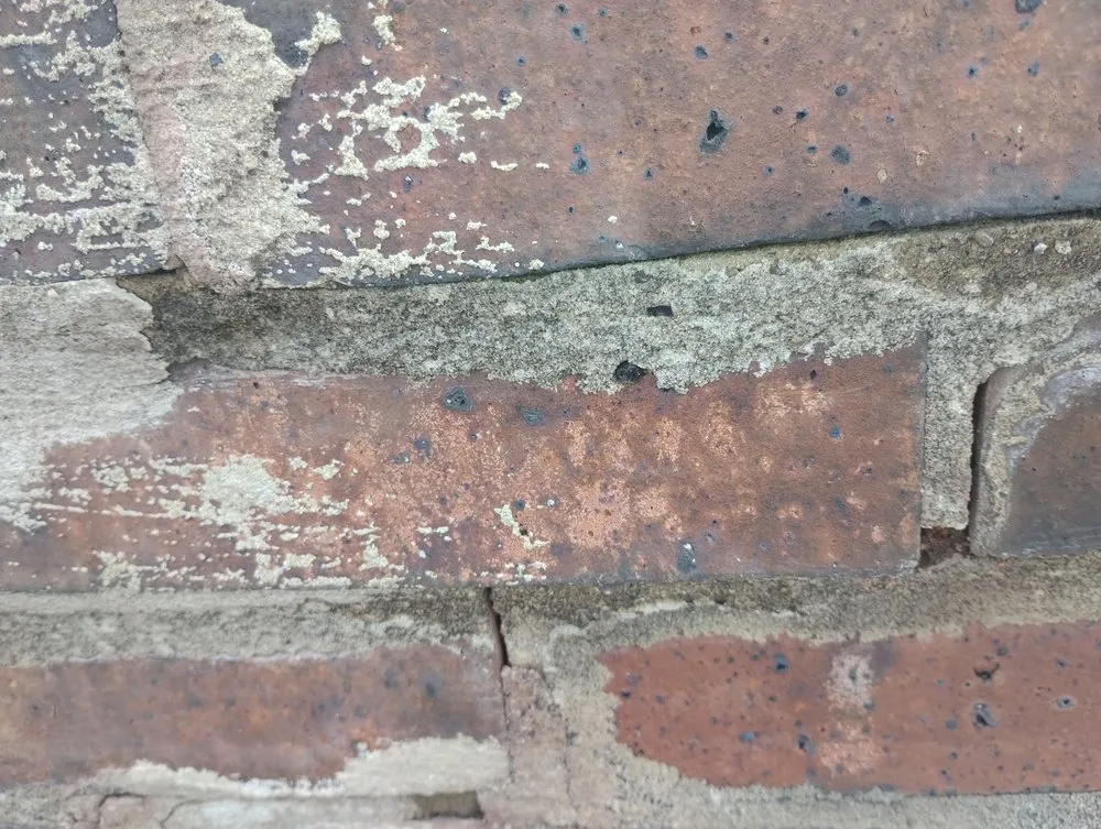 Slide of Delfine Bredniak construction