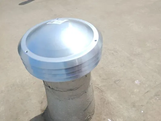 Delfine Bredniak construction Logo