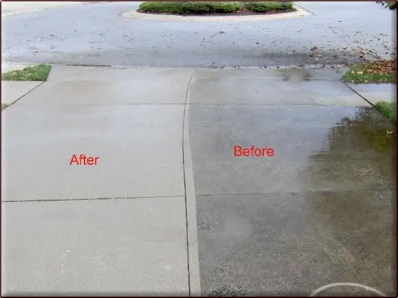 Slide of Delfino Service