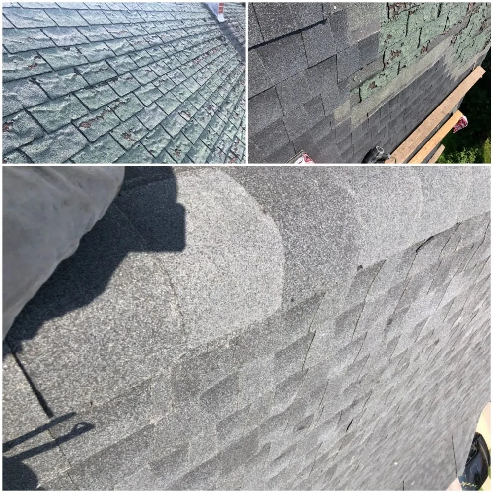 Slide of Delmar Brothers Construction