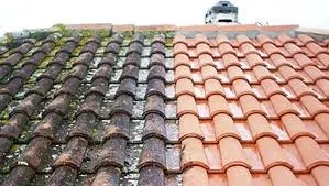 Delray Beach Roof Cleaning Logo