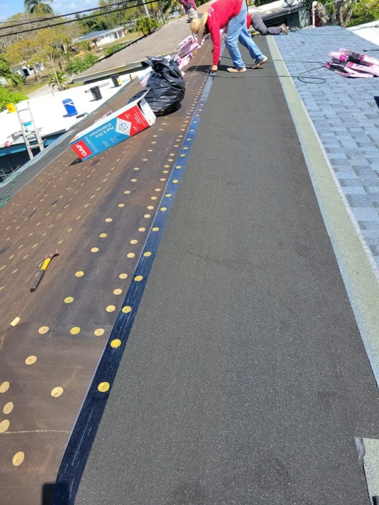 Slide of DEM Development