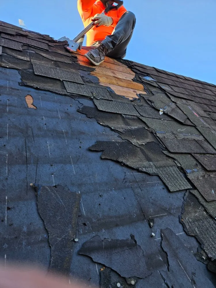 Slide of Den Construction