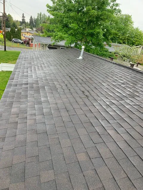 Slide of Denali Roofing