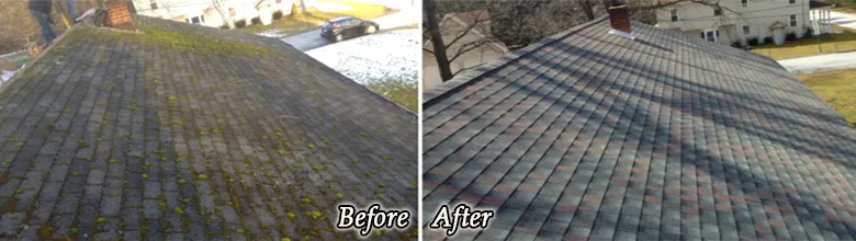 Slide of DePalma Roofing & Construction