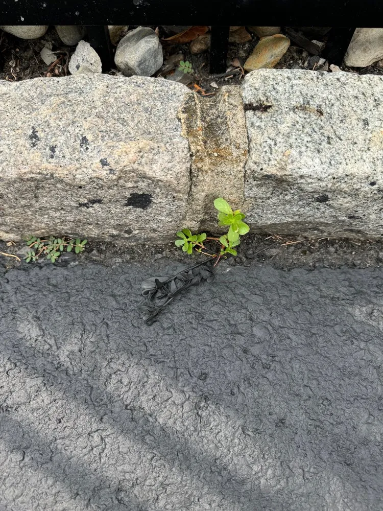 Slide of Dependable Roofing & Paving