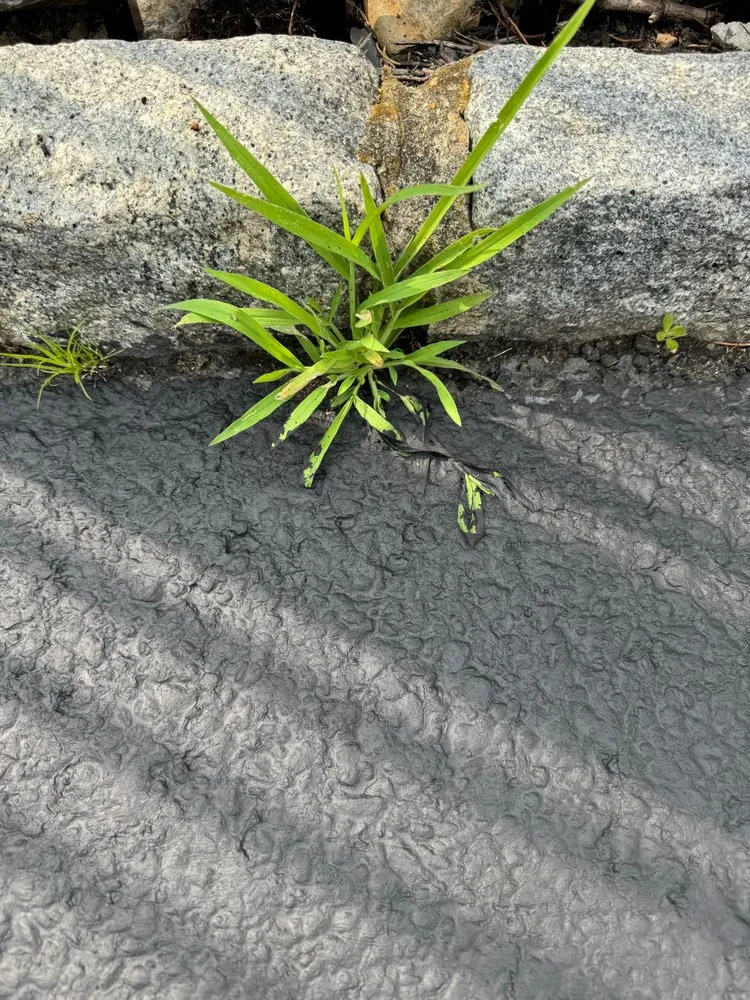 Slide of Dependable Roofing & Paving