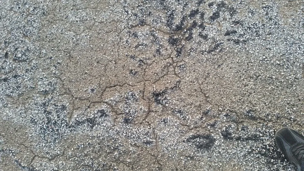 Slide of Dependable Roofing