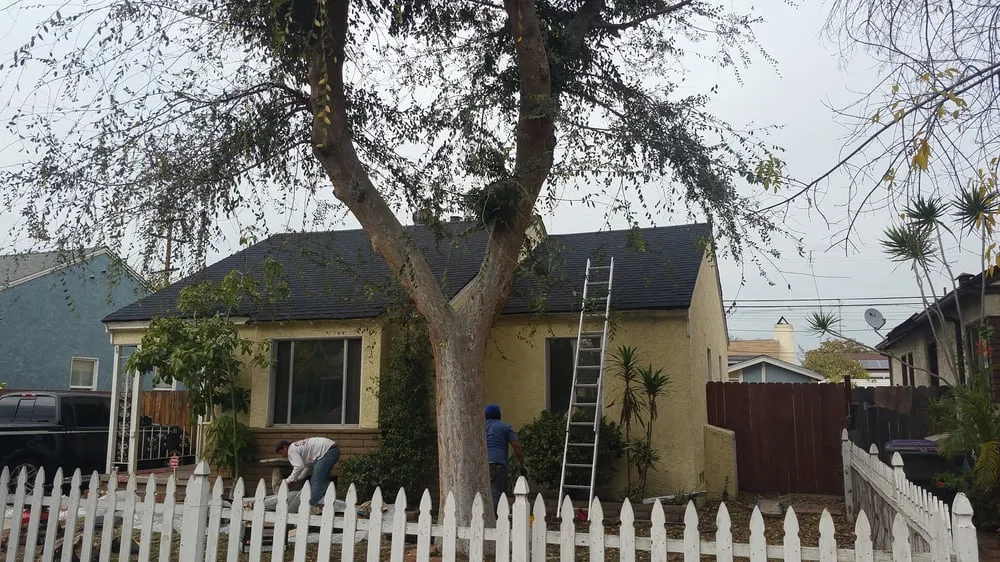 Slide of Dependable Roofing