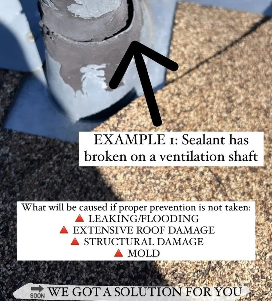 Slide of Descaling and Roof Proof Guy