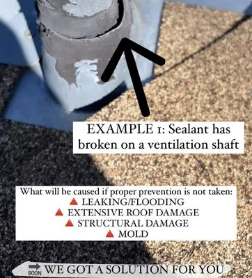 Descaling and Roof Proof Guy Logo