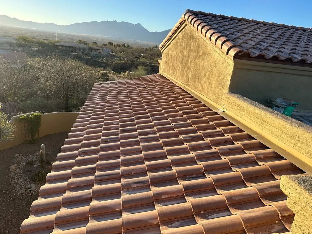 Slide of Desert Cactus Roofing