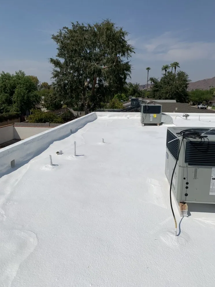 Slide of Desert Eagle Painting & Roofing