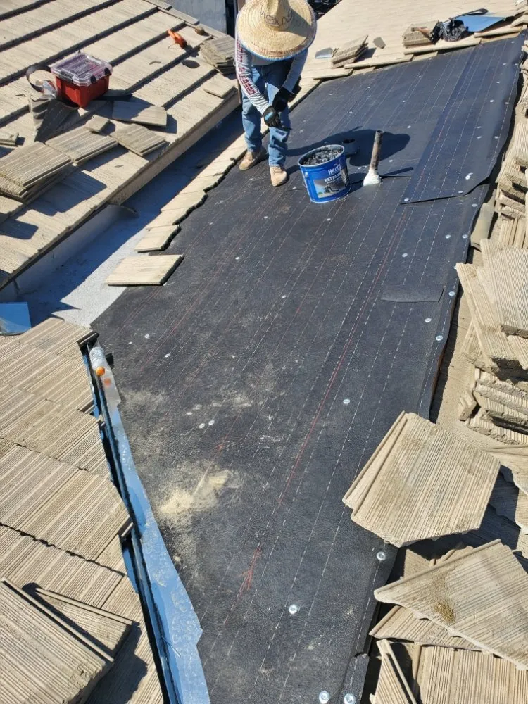 Slide of Desert Roof Concepts