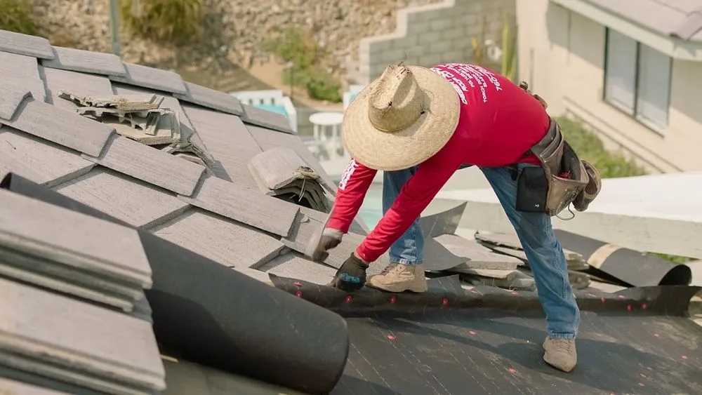 Slide of Desert Roof Concepts