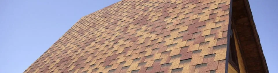 Slide of Designer Wholesale by Capital Construction