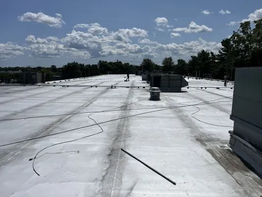 Determind Roofing Logo