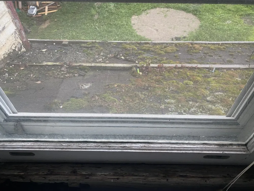 Local flat roof repair same-day service across Wilcox, PA - Detwiler Contracting