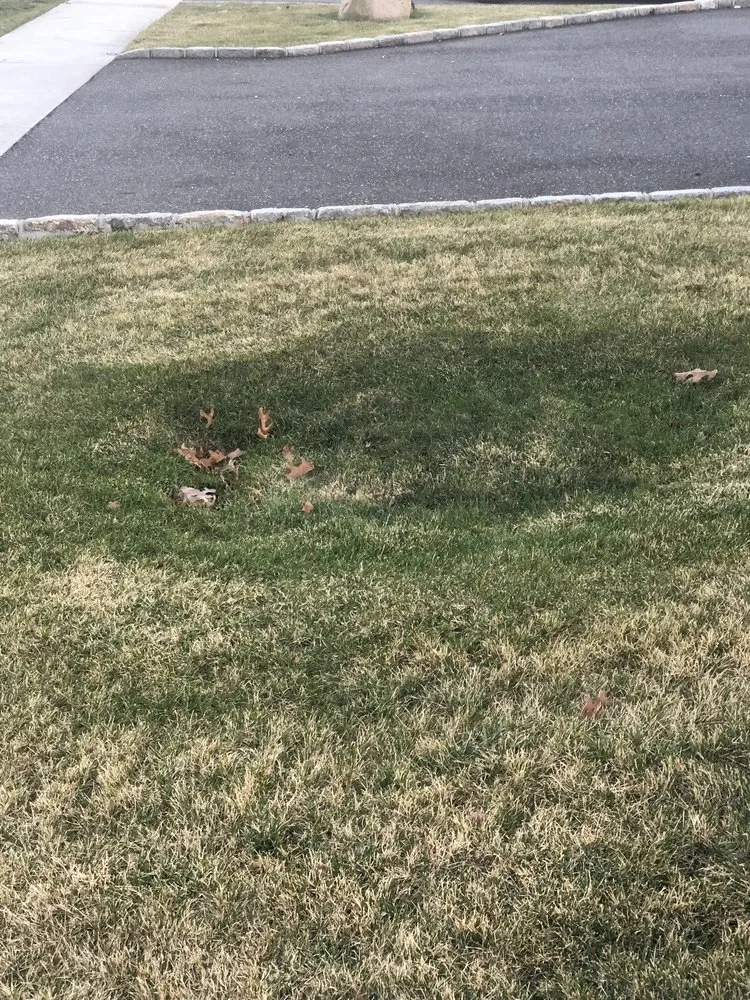 Slide of DG Custom Built Homes & Remodeling