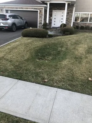 DG Custom Built Homes & Remodeling Logo