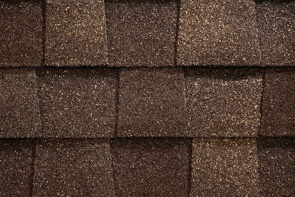 DG Diaz Roofing Services of New Orleans