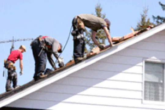 D&G Roofing Specialists Logo