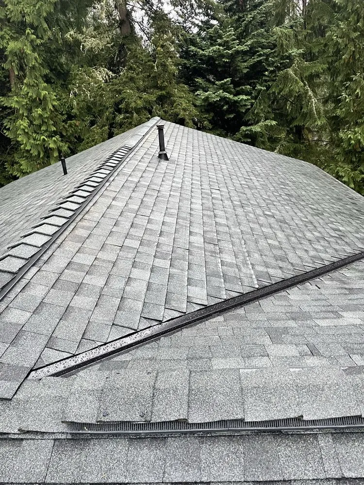 Slide of DGO Roofing and Gutter Services in Washington
