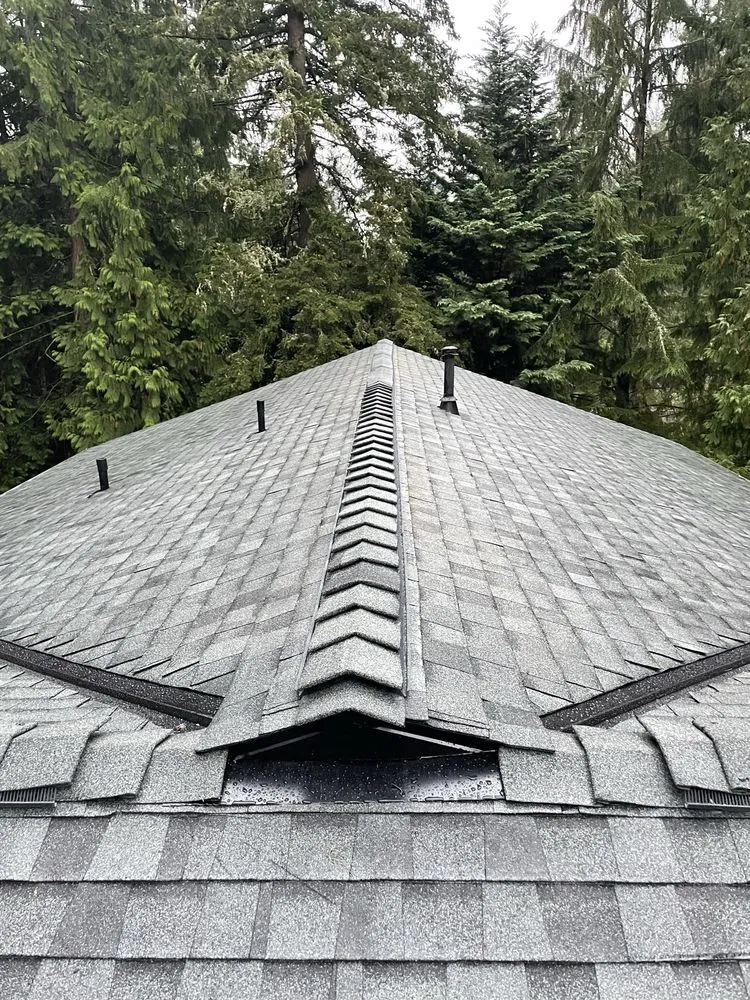 Slide of DGO Roofing and Gutter Services in Washington