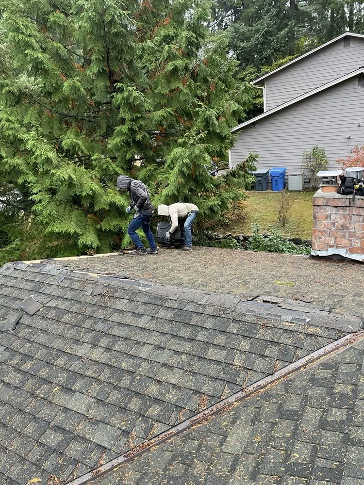 Slide of DGO Roofing and Gutter Services in Washington