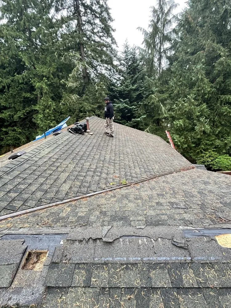 Slide of DGO Roofing and Gutter Services in Washington
