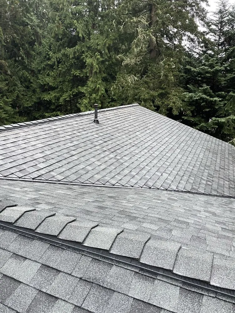 Slide of DGO Roofing and Gutter Services in Washington