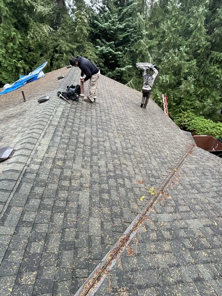 Slide of DGO Roofing and Gutter Services in Washington