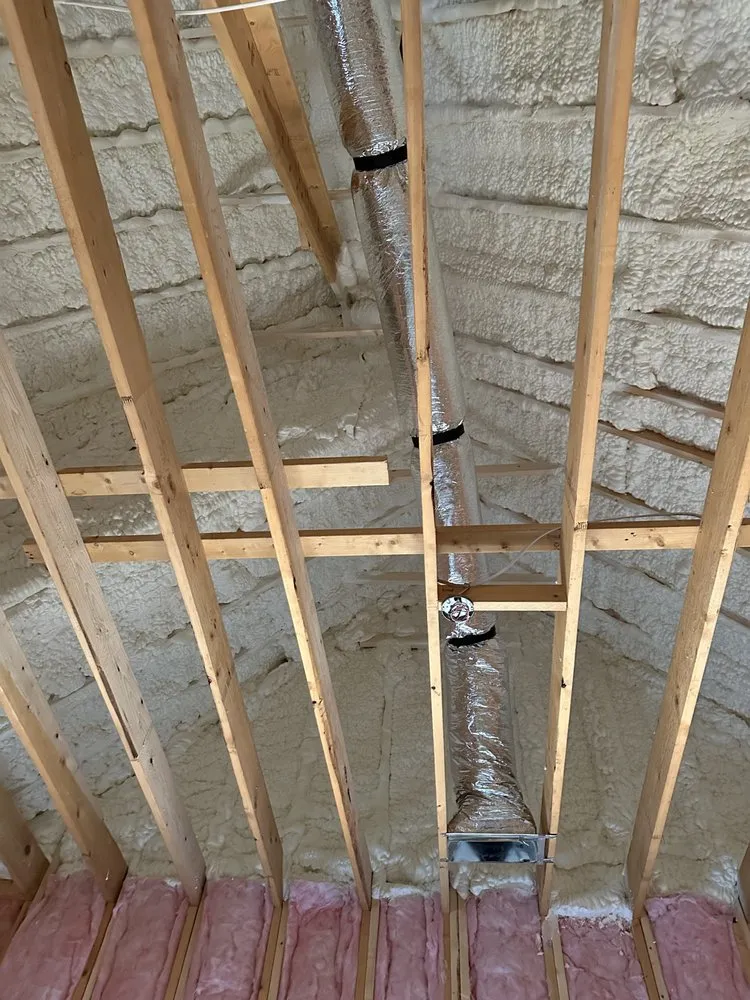 Slide of DHBG Spray Foam