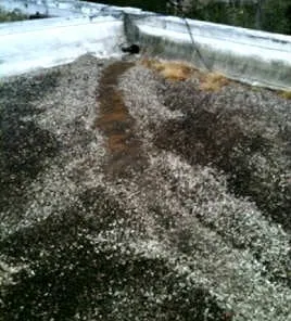 Slide of DHI Roofing Contractor