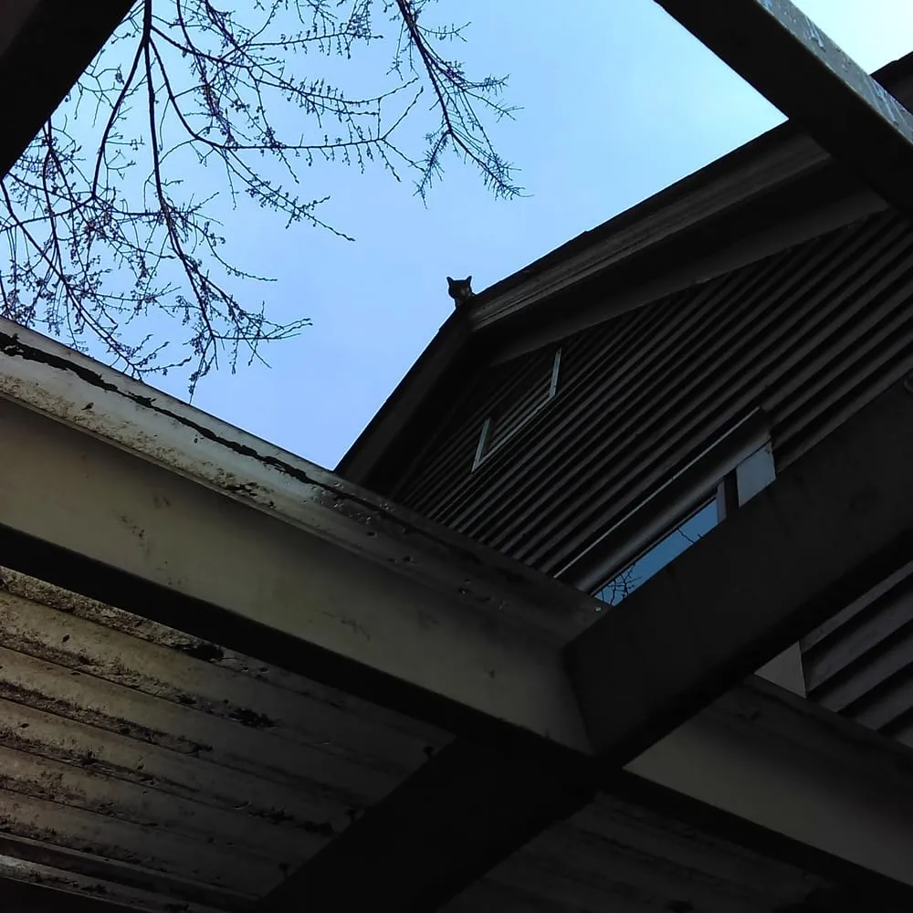 Slide of Diamond Quality Roofing and Construction