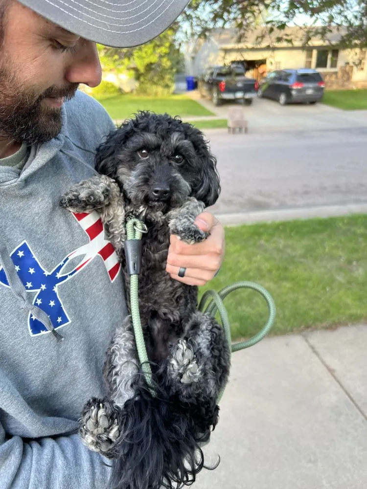 Slide of Diamond Ridge Exteriors