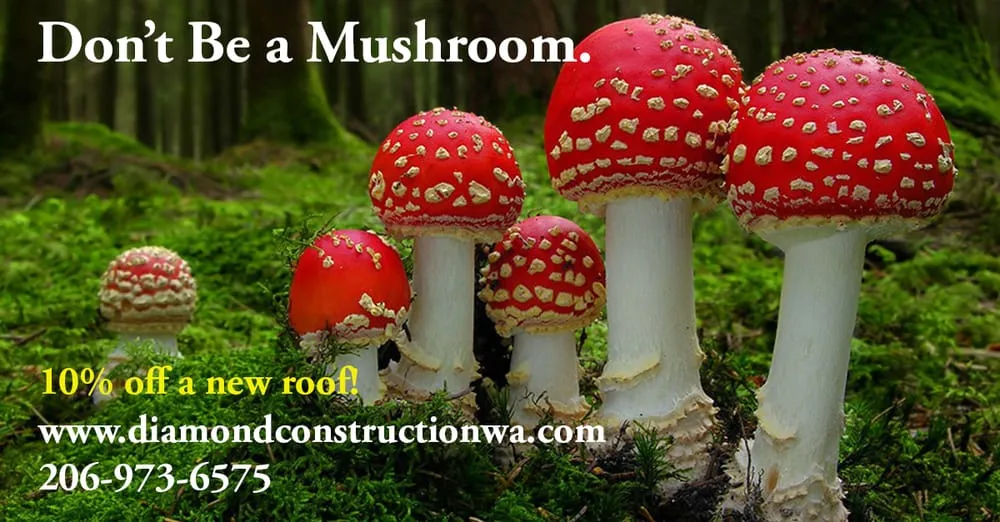 Slide of Diamond Roofing & Construction