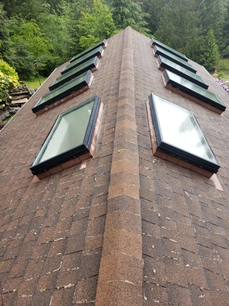 Slide of Diamond Touch Roof Cleaning and Repair