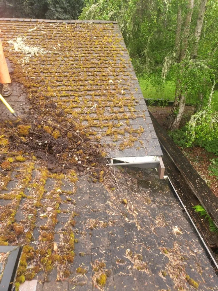 Slide of Diamond Touch Roof Cleaning and Repair