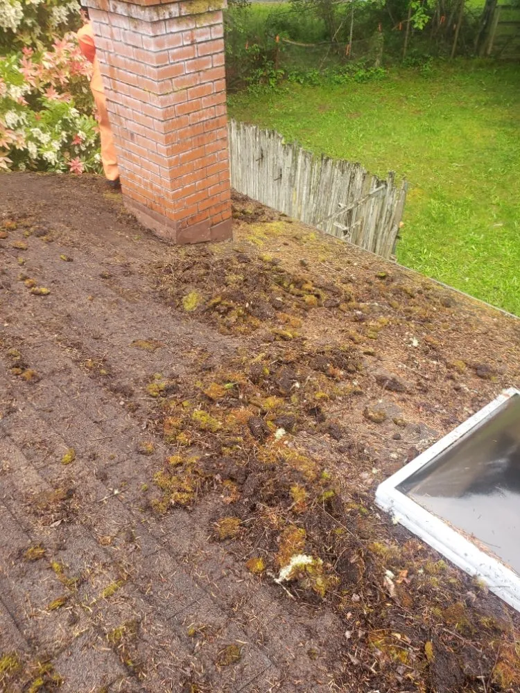 Slide of Diamond Touch Roof Cleaning and Repair