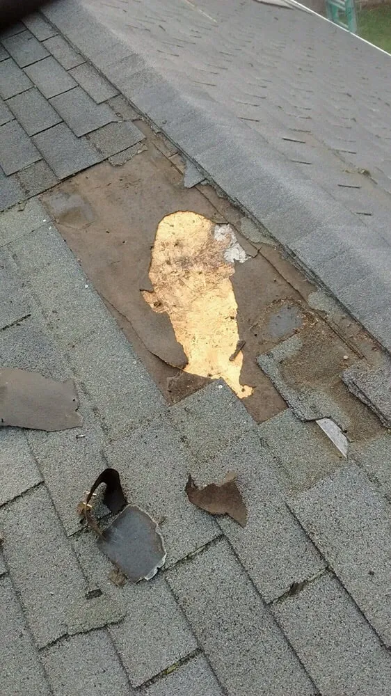 Slide of Diamond Touch Roof Cleaning and Repair