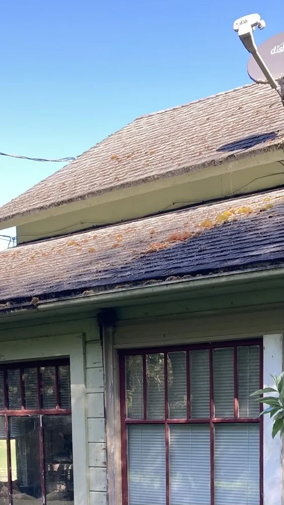 Slide of Diamond Touch Roof Cleaning and Repair